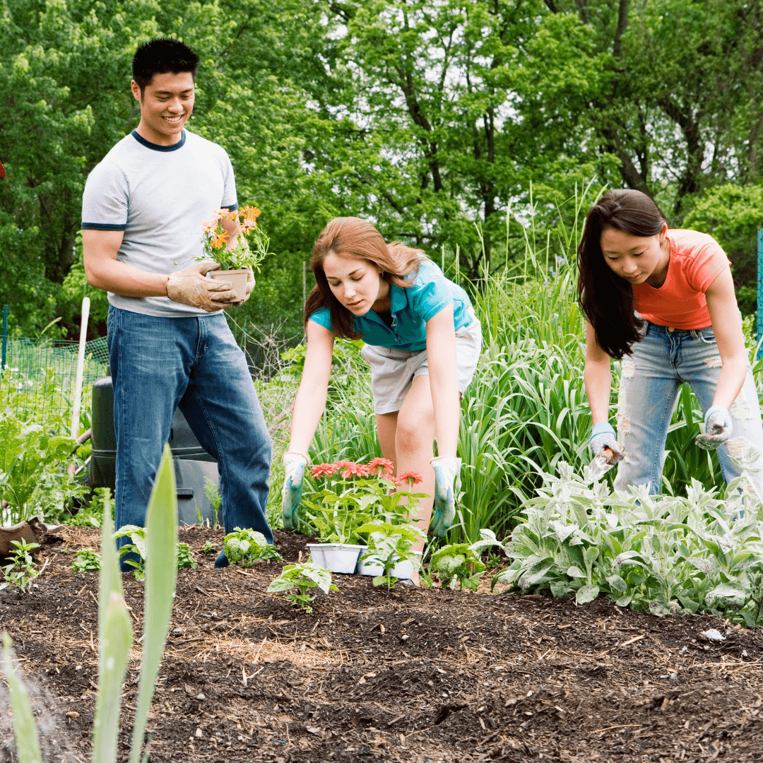 Image gallery marquee