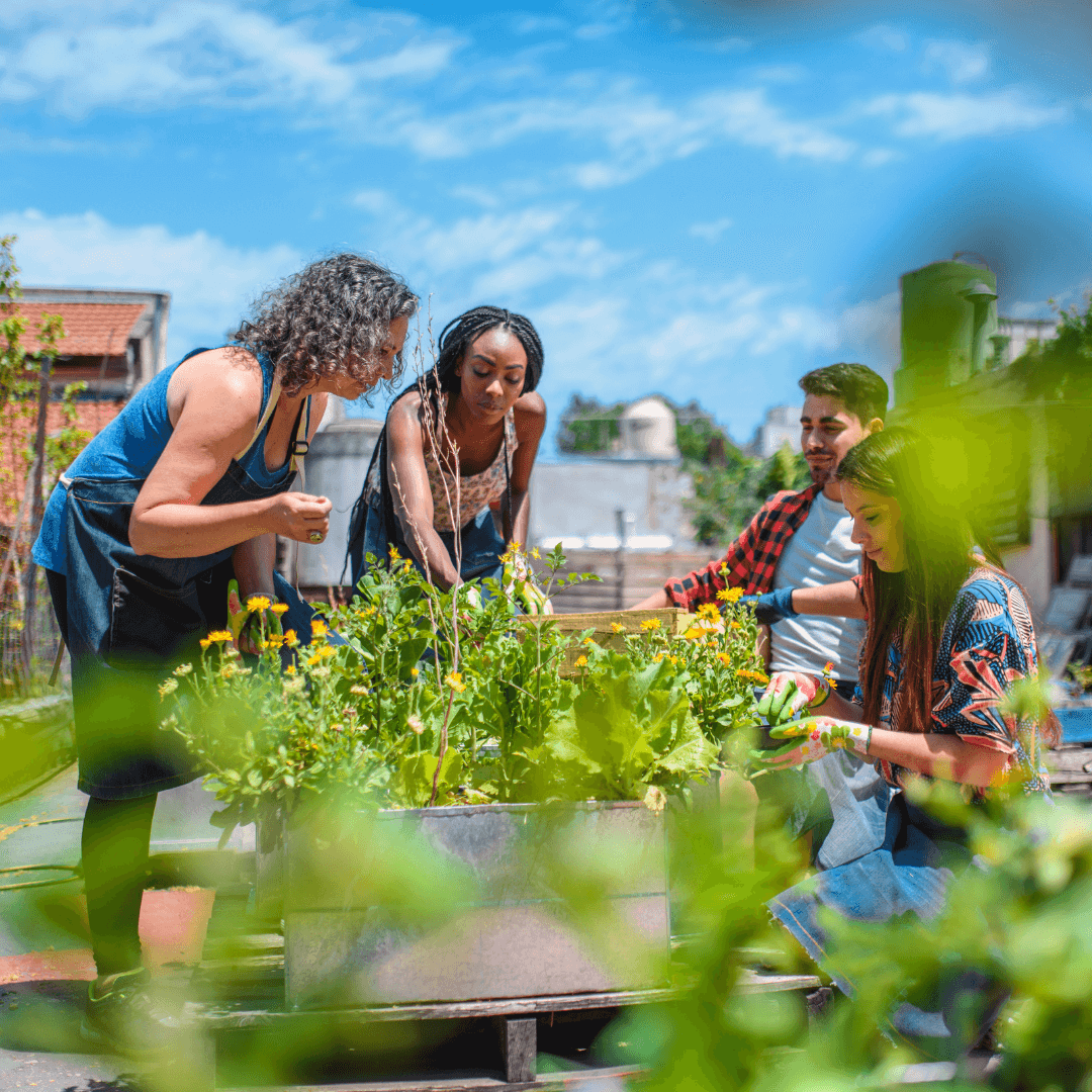 Image gallery marquee