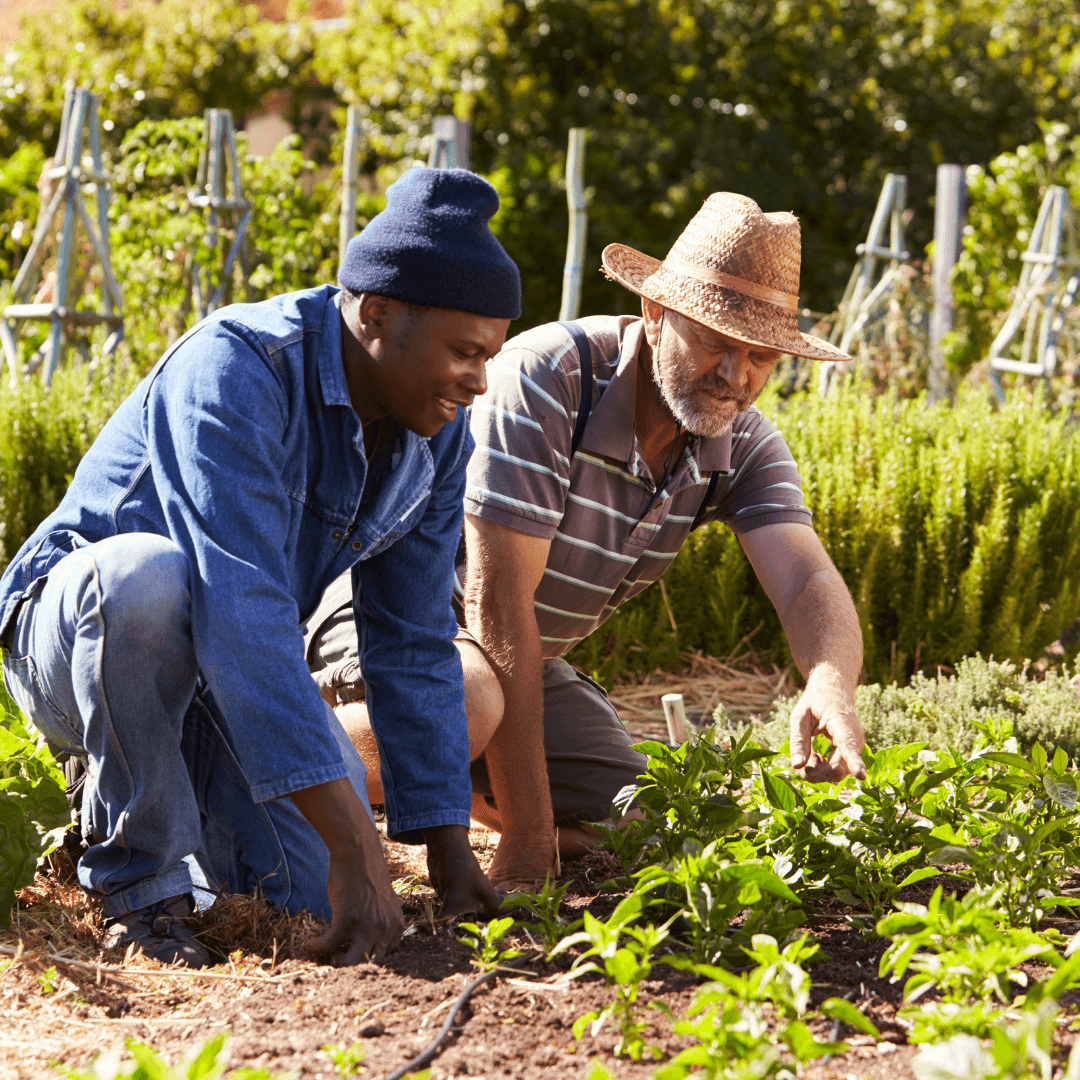 Image gallery marquee