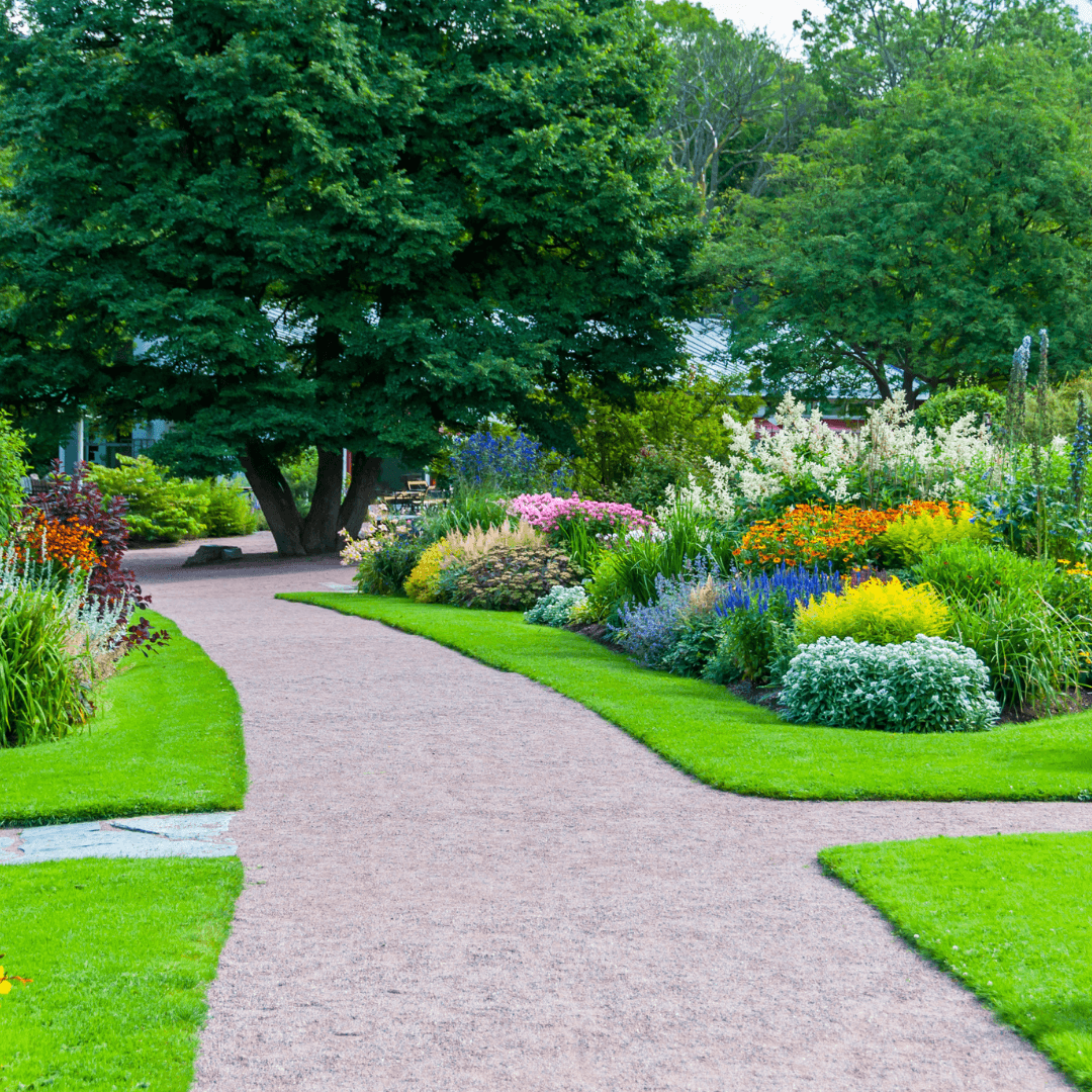 Image gallery marquee