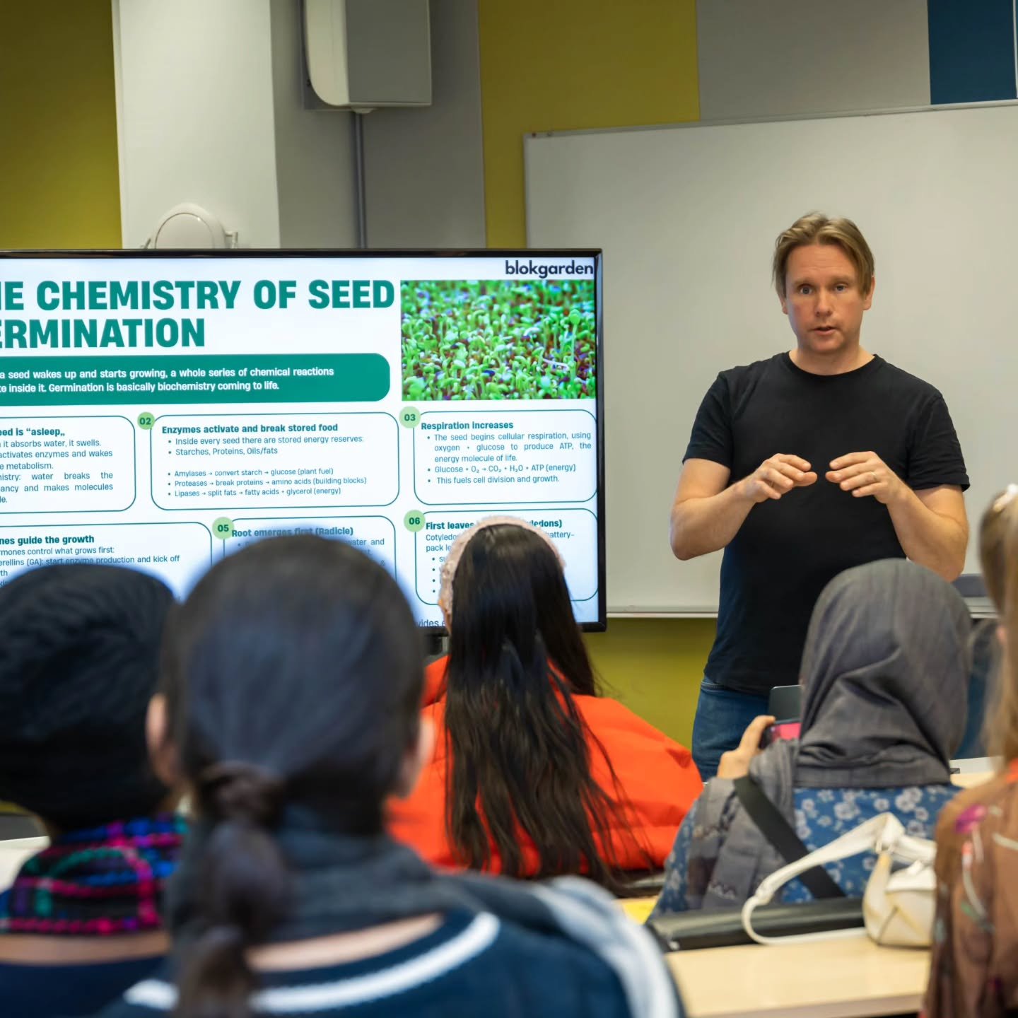 Image gallery marquee