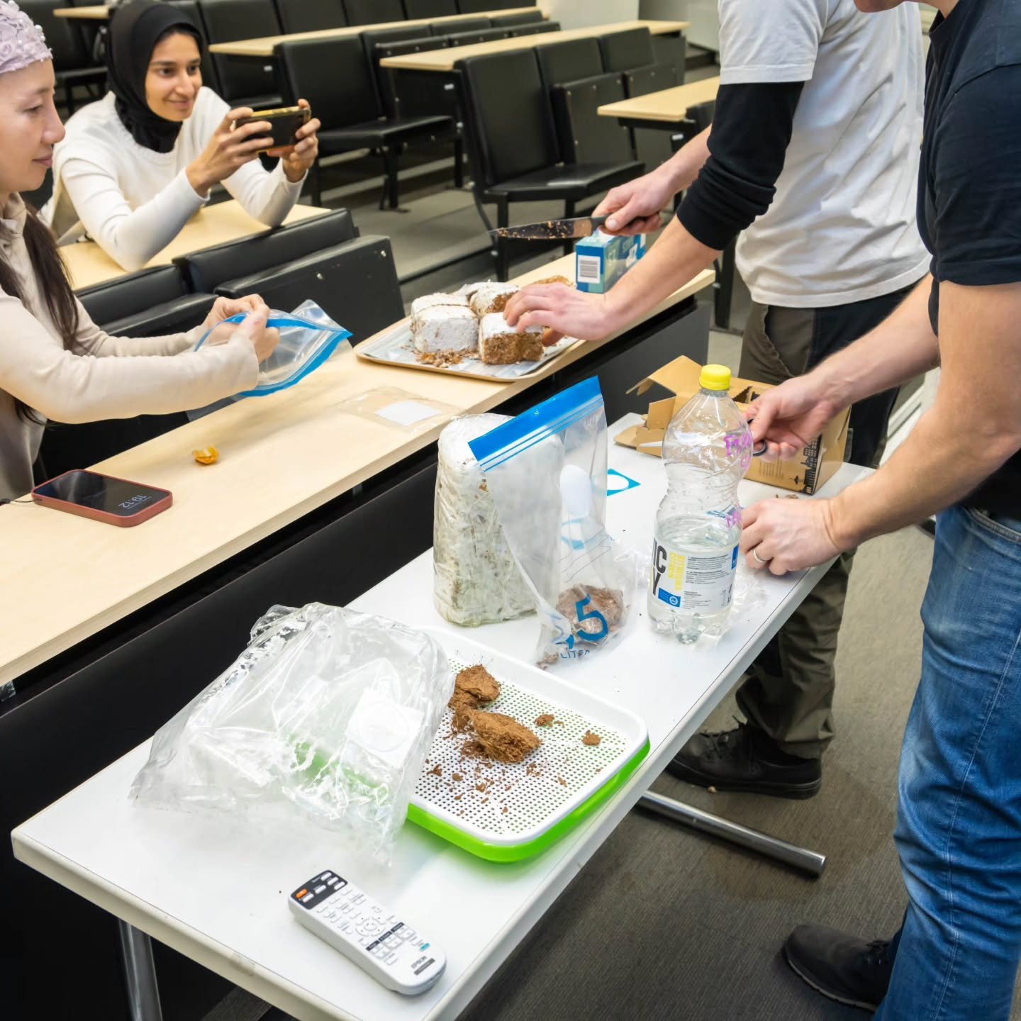 Image gallery marquee