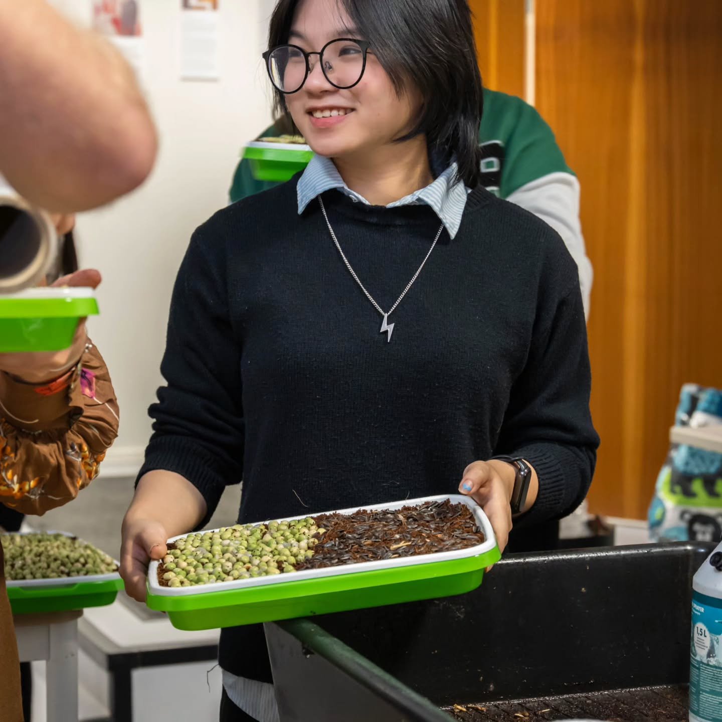 Image gallery marquee