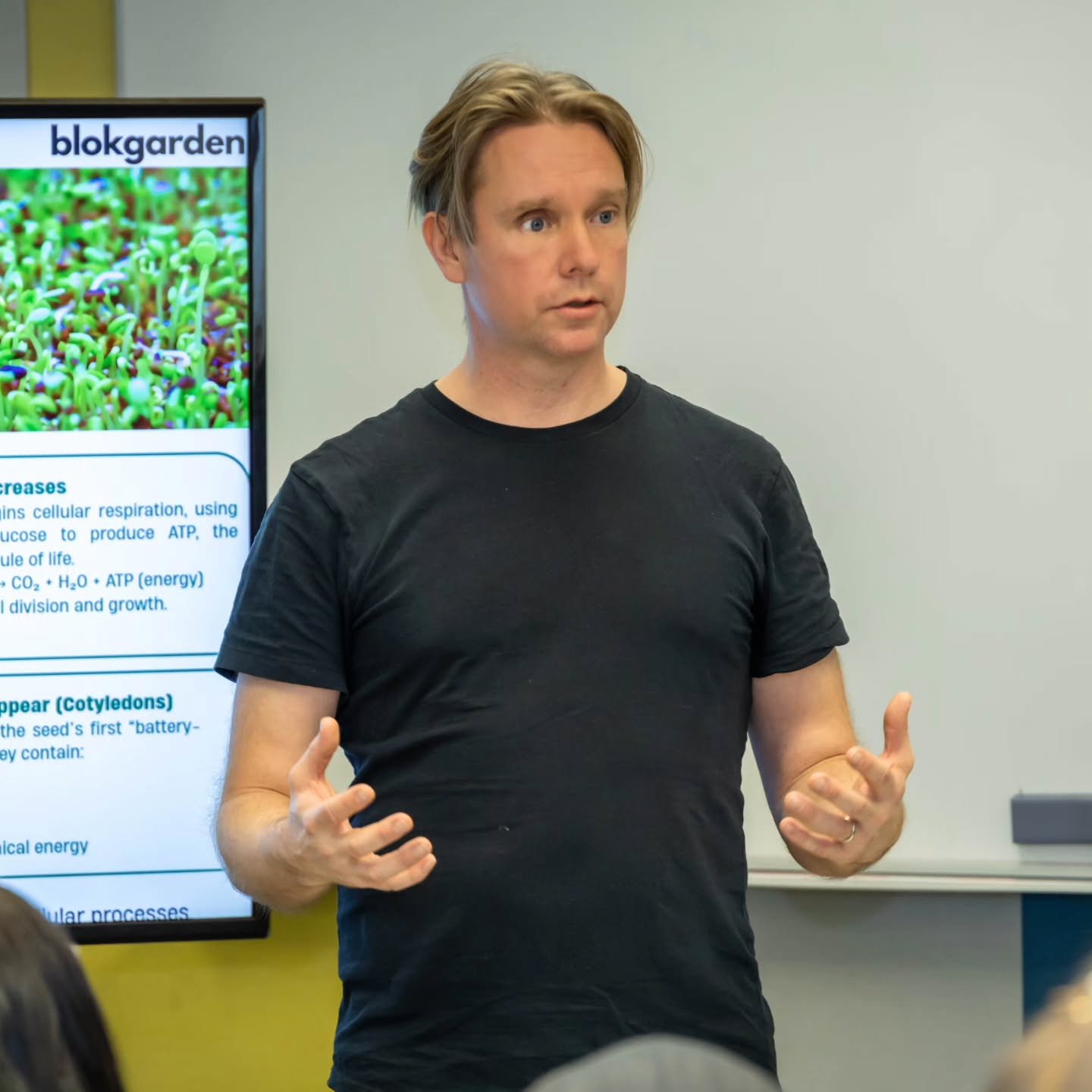 Image gallery marquee