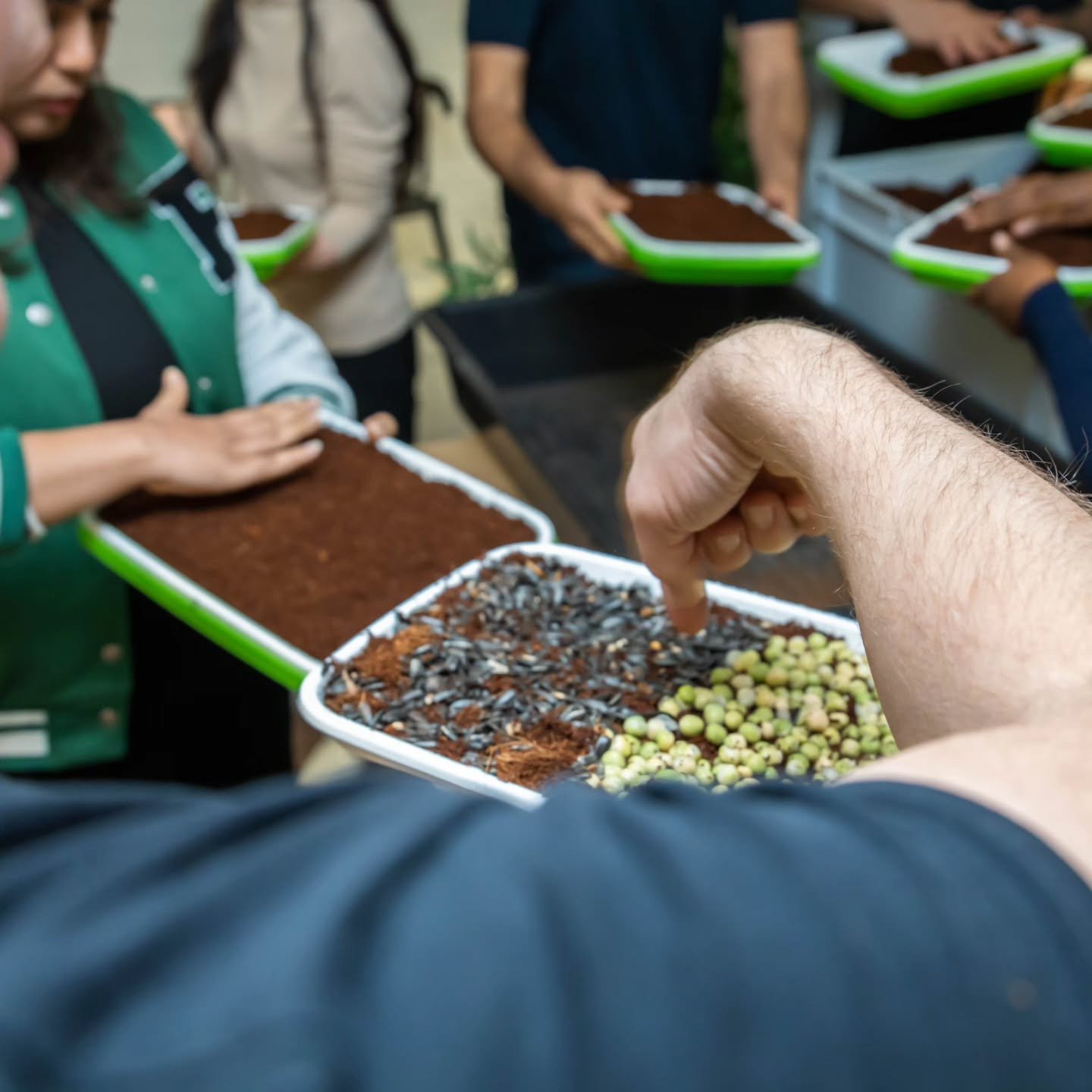 Image gallery marquee