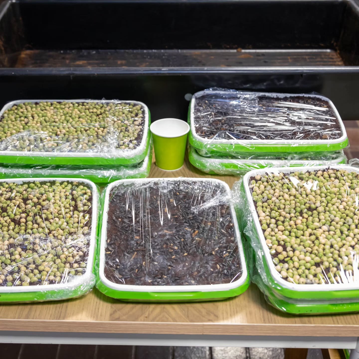 Image gallery marquee