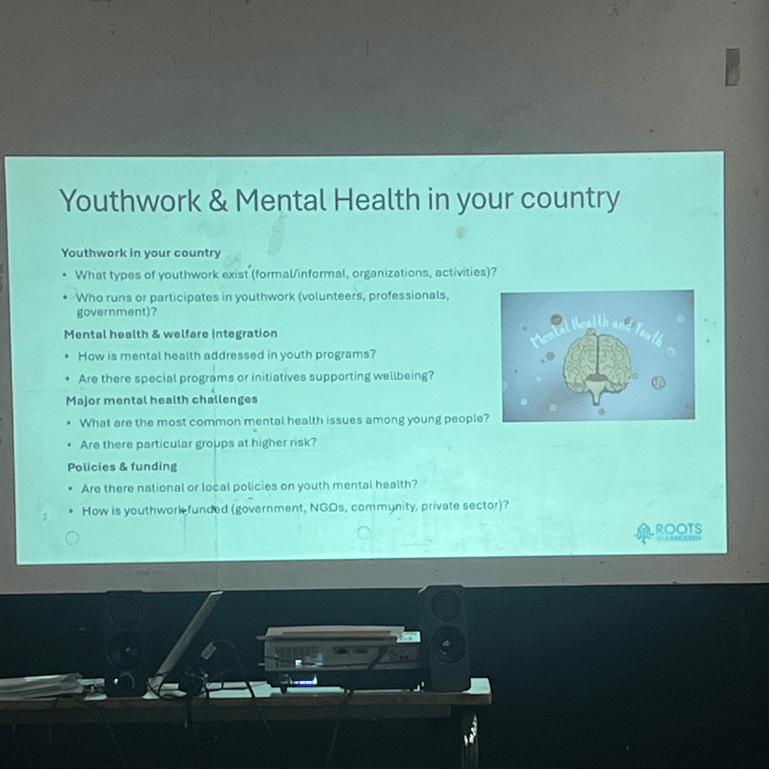 Mental Health in Youth Work – Belgium