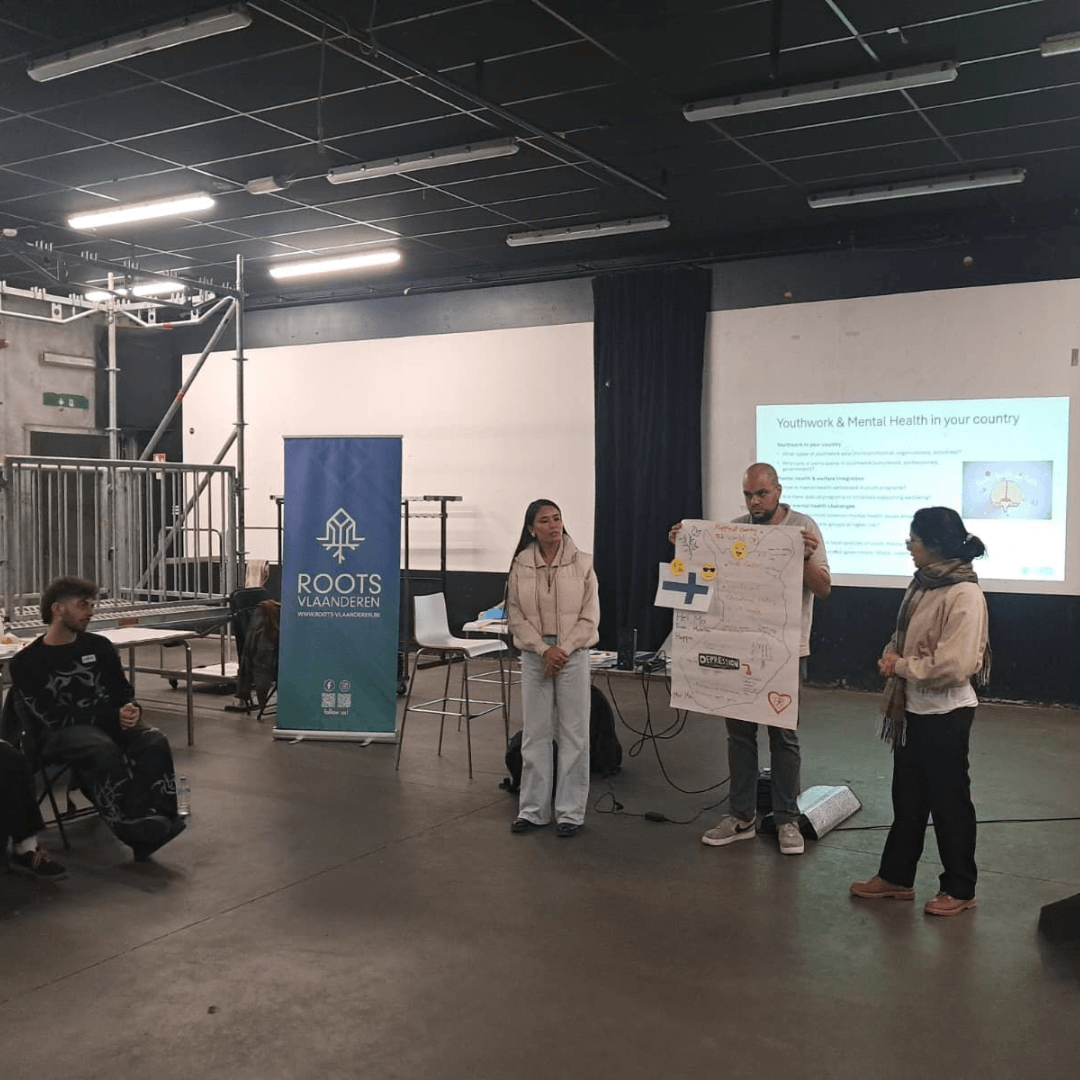 Mental Health in Youth Work – Belgium